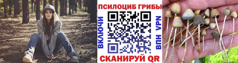 как найти закладки  Воскресенск  мега вход  площадка Telegram  Псилоцибиновые грибы Psilocybe 